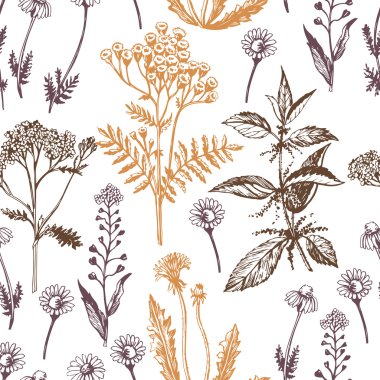 Şifalı otlar ile grafik desen.