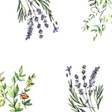 şifalı bitkiler ile arka plan.