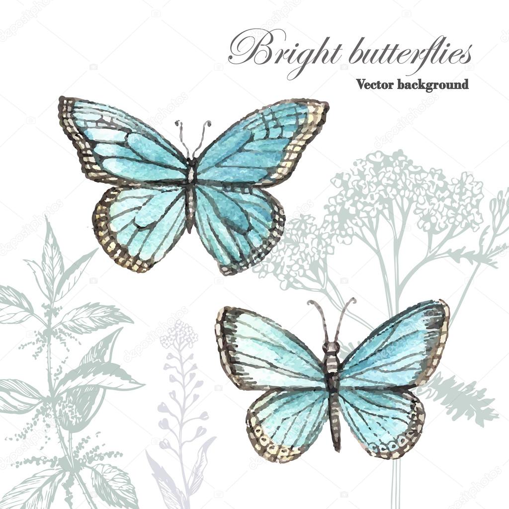 Download Vintage butterflies and herbs. — Stock Vector © Ann_art ...