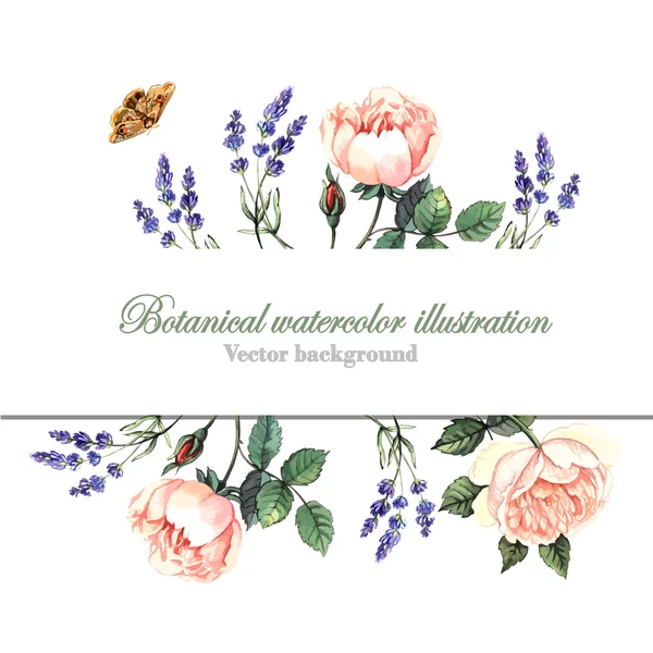 Fundo com rosas e lavanda —  Vetores de Stock