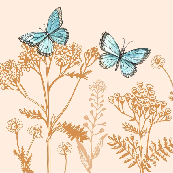草や蝶と装飾的な背景 — ストックベクタ
