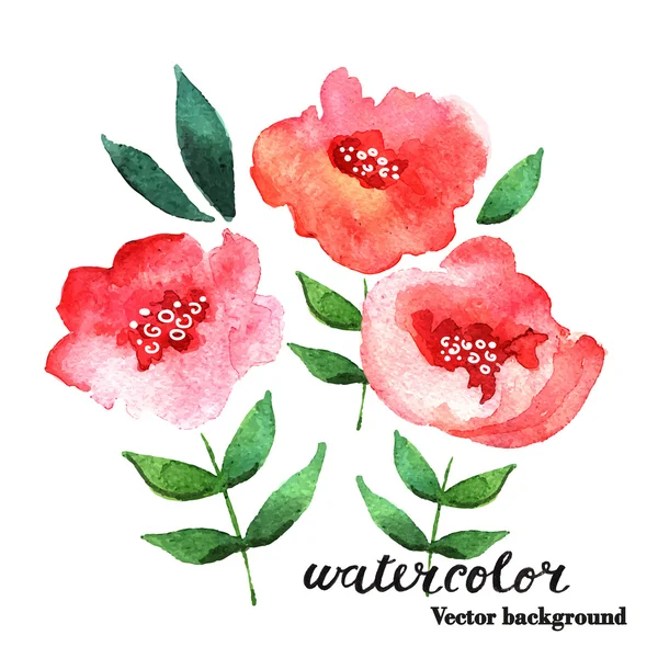 Handmade watercolor abstract flowers — Stock Vector