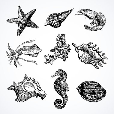 Vector graphic Marine set.