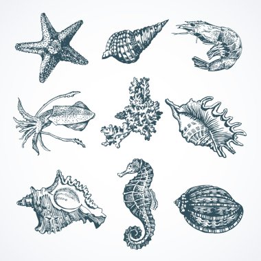 Vector graphic Marine set.