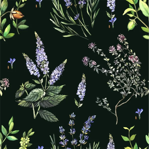 Decorative seamless with medicinal plants. — Stockvector