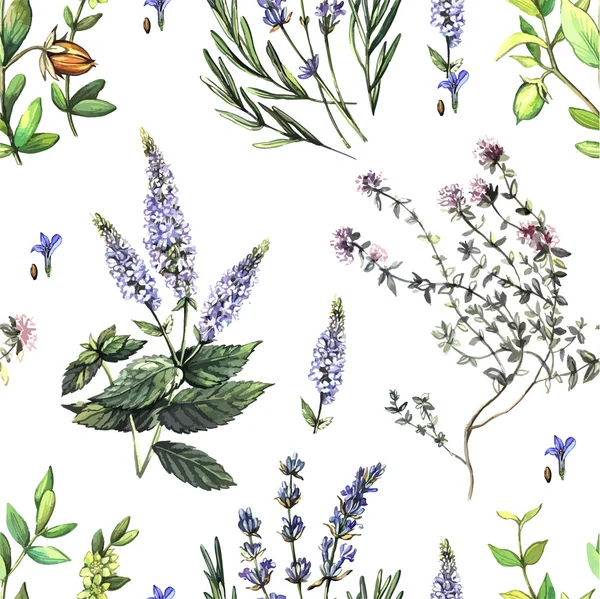 Watercolor decorative pattern with medicinal plants.