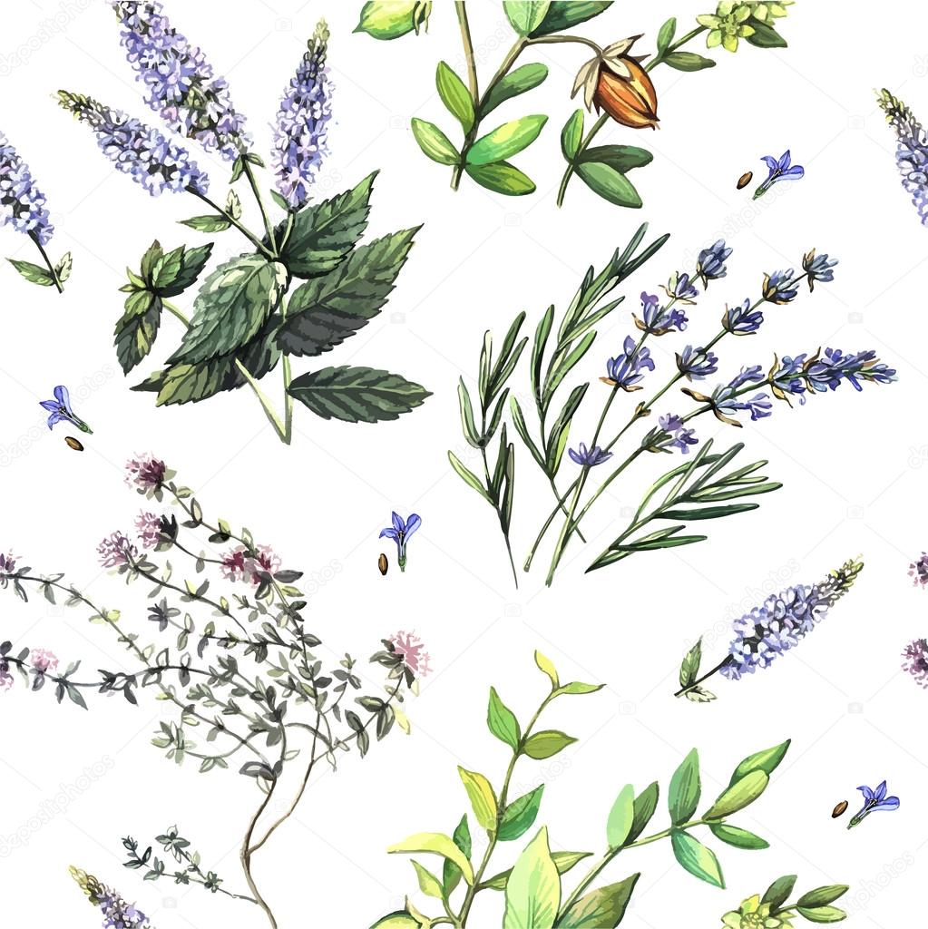 Watercolor decorative pattern with medicinal plants.