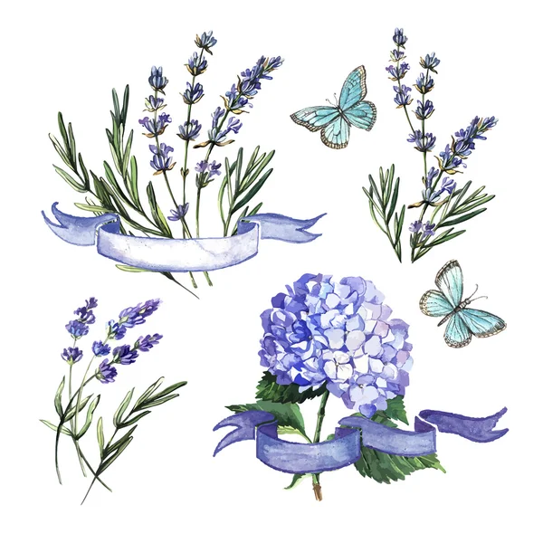 sulu boya dekoratif seti