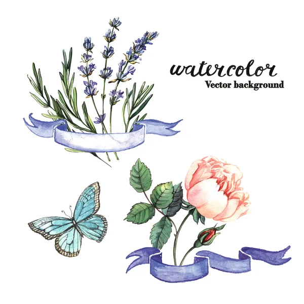 Watercolor set with roses and butterfly — Stock Vector