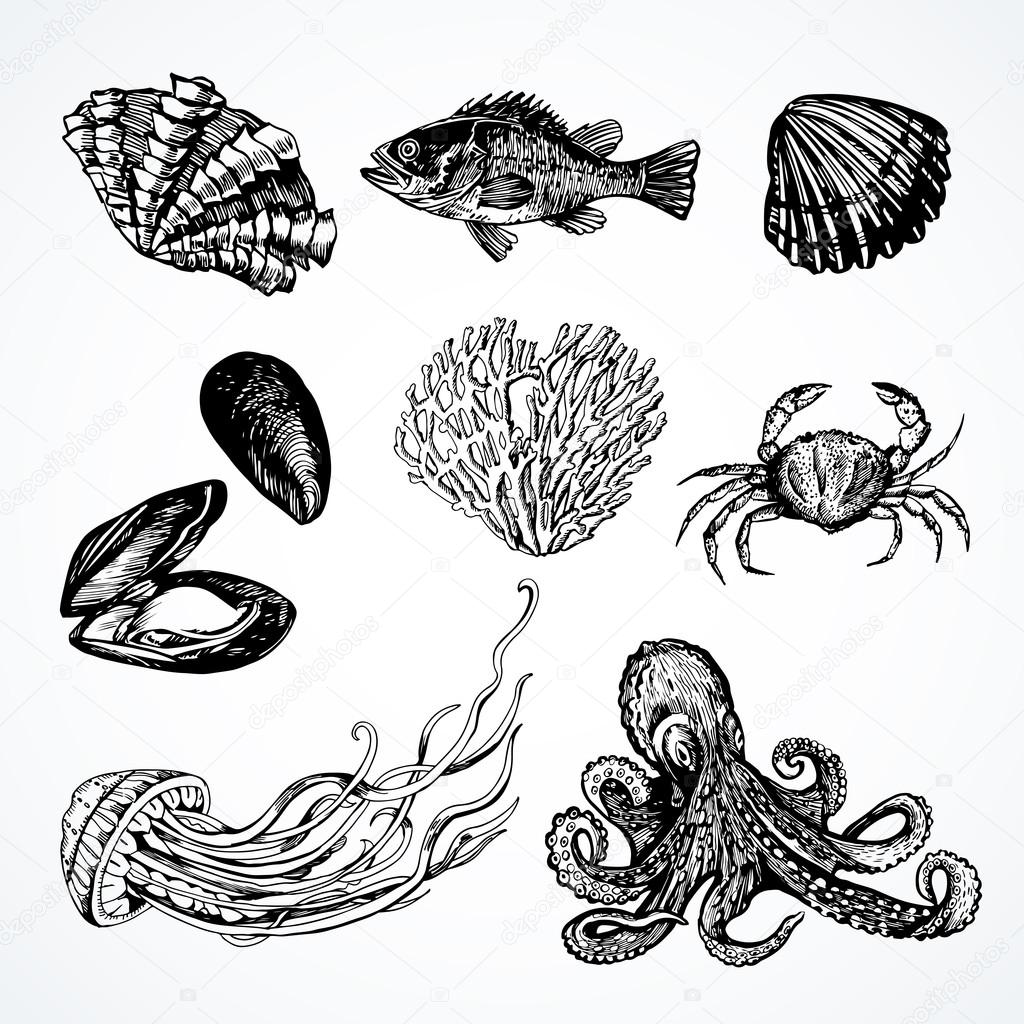 various underwater inhabitants