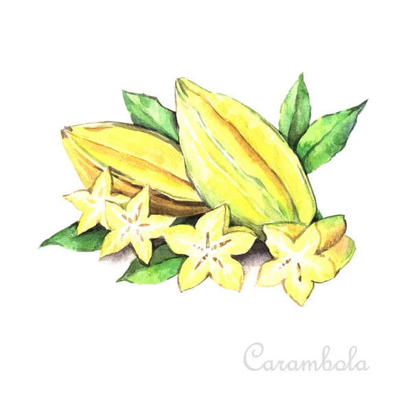 Watercolor Carambola Starfruit — Stock Photo, Image