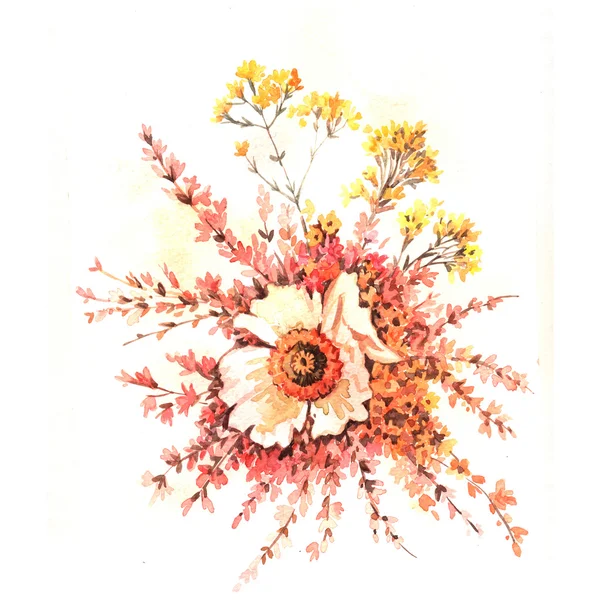 Aquarel Delicate bloemen — Stockfoto