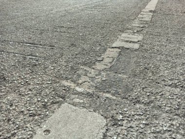 Beyaz trafik hatları ve okaliptüs ağaçları..