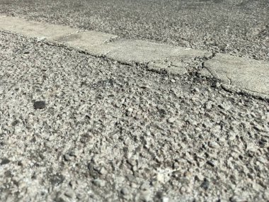 Beyaz trafik hatları ve okaliptüs ağaçları..