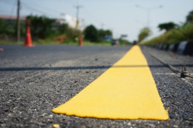 Sarı trafik çizgileri ve orman ağaçları