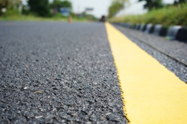 Sarı trafik çizgileri ve orman ağaçları