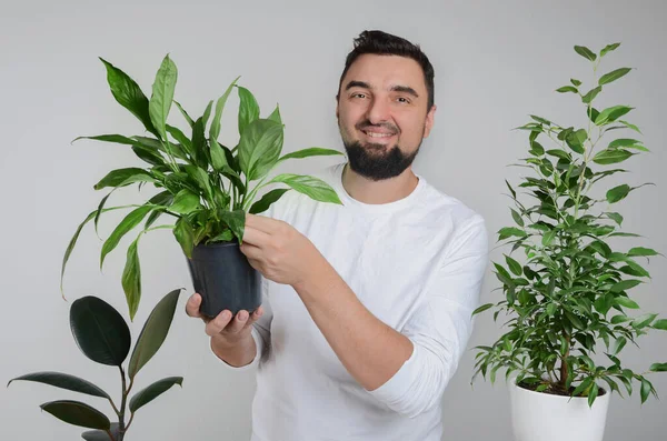 ハンサムな髭の男が植物の鍋を手に持っている — ストック写真