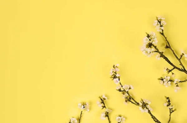 Färger Gul Och Grå Färg Året 2021 Belysande Förgrening Blommande — Stockfoto