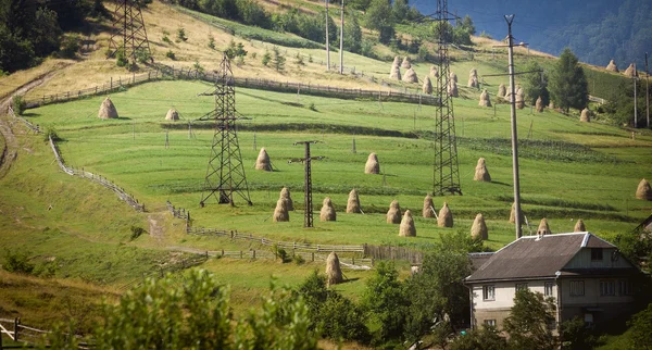 Karpat Dağları, Ukrayna