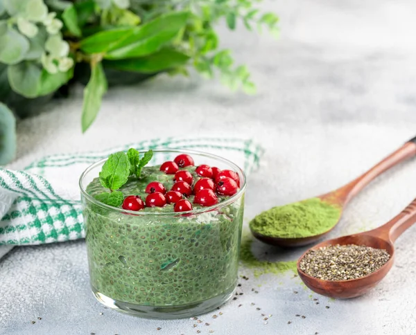 Caseiro Matcha Chá Verde Chia Pudim Sementes Sobremesa Vegan Fundo — Fotografia de Stock