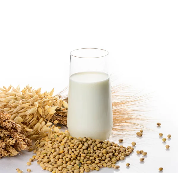 Vegan Soy Milk Rice Milk Oat Milk Dairy Free Alternative — Stock Photo, Image