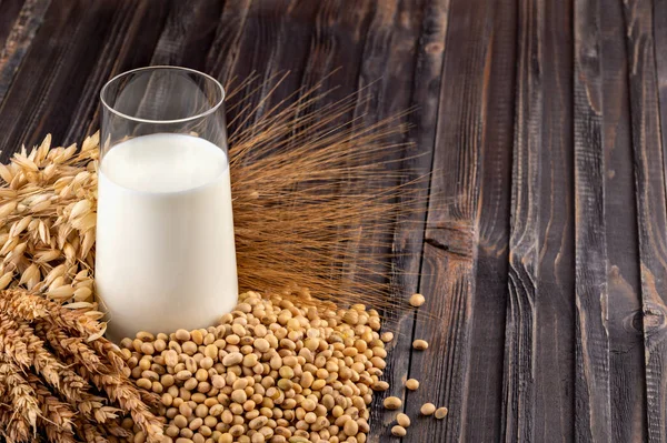 Vegan Soy Milk Rice Milk Oat Milk Dairy Free Alternative — Stock Photo, Image