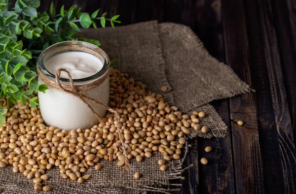 Homemade Yogurt Soy Milk Soybean — Stock Photo, Image