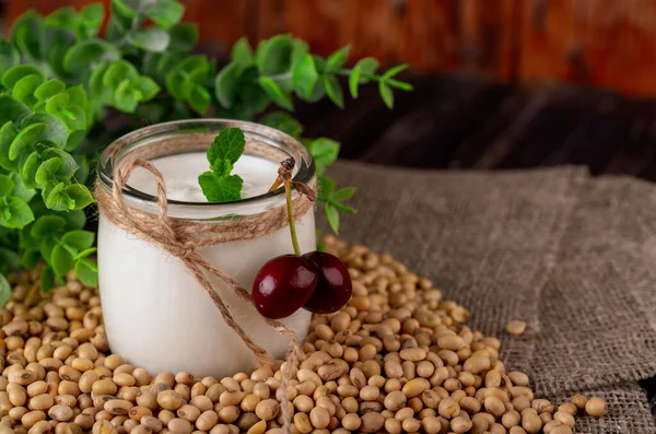 Homemade Yogurt Soy Milk Soybean — Stock Photo, Image