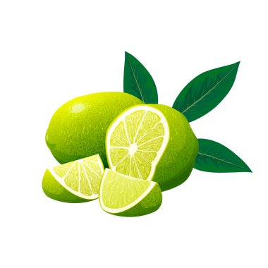 Taze limon ve yapraklı limon dilimi. Vektör illüstrasyonu