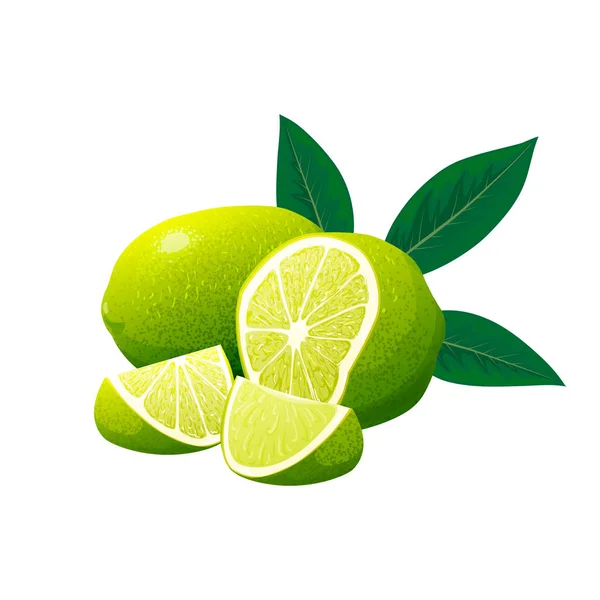 Taze limon ve yapraklı limon dilimi. Vektör illüstrasyonu — Stok Vektör