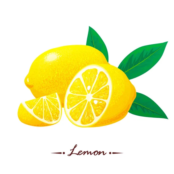 Lemon, yapraklı limon dilimleri. Vektör. Logo konsepti. El çizimi vektör illüstrasyonu — Stok Vektör
