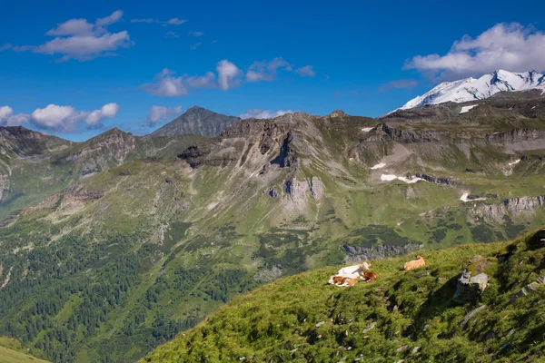 Parque Nacional Grossglockner en Austria — Foto de Stock