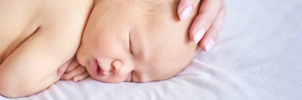 Pasgeboren klein hoofdje. Moeder raakt kleine mensen aan. Gezondheidszorgconcept — Stockfoto