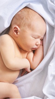 Yeni doğmuş minik kafa. Küçük sevimli insanlar. Sağlık sigortası konsepti. Modern ebeveynlik