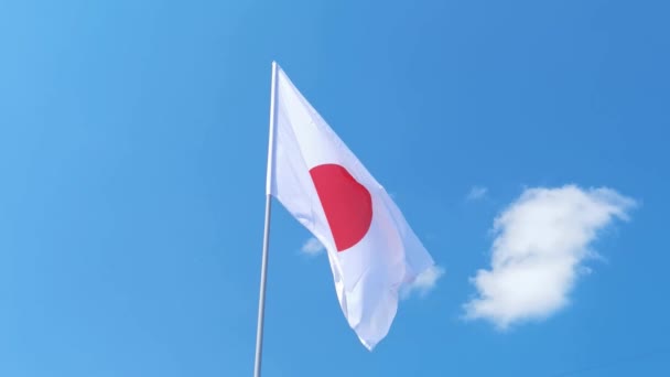 Bandera del país nacional en el cielo. — Vídeo de stock