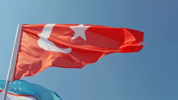 Bandiera nazionale su sfondo cielo blu. Simbolo del tessuto volante — Video Stock