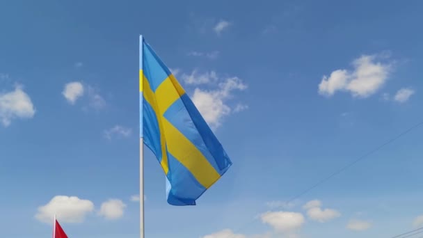 Nationell flagga på himlen bakgrund. — Stockvideo