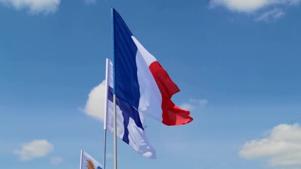 Bendera negara nasional di latar langit. — Stok Video