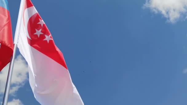 Bendera nasional di langit biru. Simbol kain terbang — Stok Video