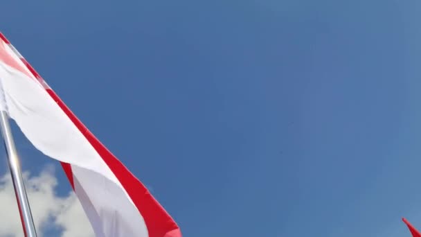Bandera de país nacional sobre fondo cielo azul. Símbolo de tela voladora — Vídeo de stock