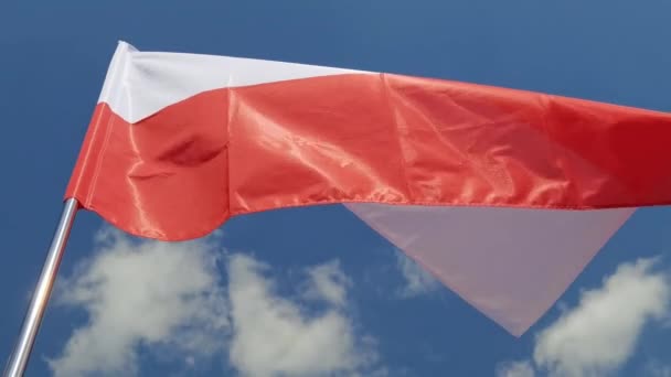 Drapeau national sur fond de ciel bleu. Symbole de tissu volant — Video