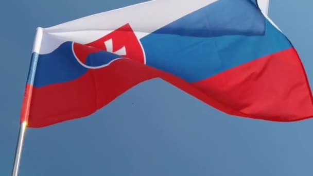 Nationalflagge auf blauem Himmel. Fliegendes Stoffsymbol — Stockvideo