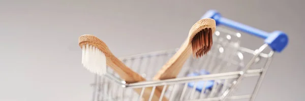 Set Ökologie-Zahnbürste auf grauem Hintergrund. Verschiedene Farben. Diversitätskonzept — Stockfoto