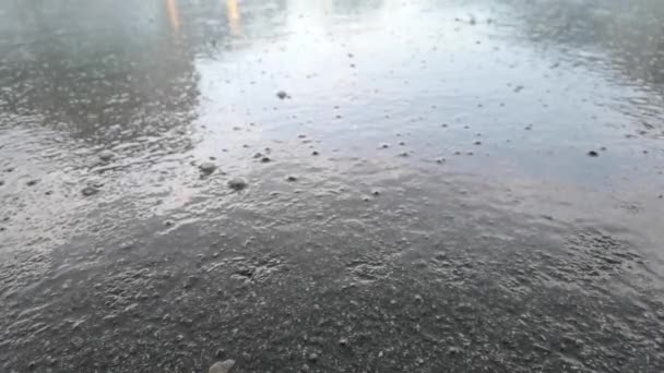 Rain day outdoors. Water on street asphalt. — Stock Video