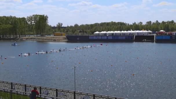 Barnaul, Russia - May 21 2021. Canoe adventure. Sprint competition — Stock Video