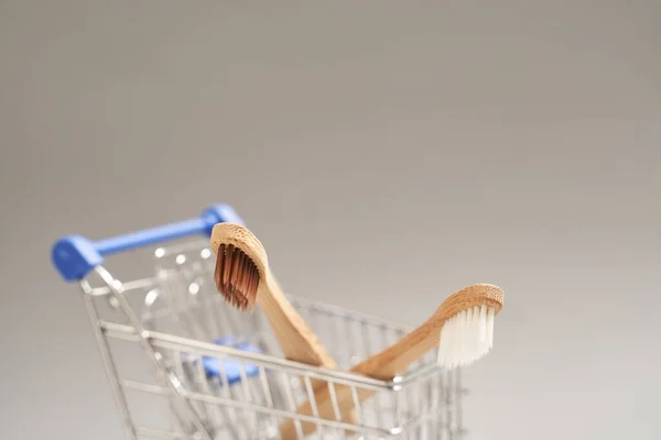 Set Ökologie-Zahnbürste auf grauem Hintergrund. Verschiedene Farben. Diversitätskonzept — Stockfoto