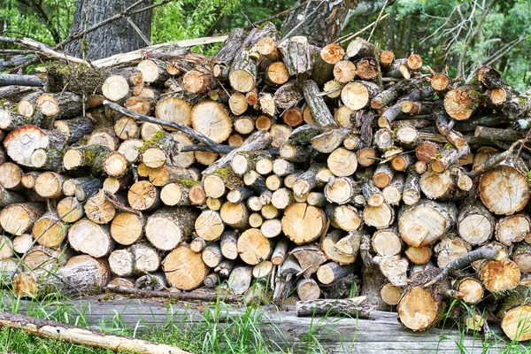 Kamna na dřevo. Dřevěné textury pozadí. Stromový obchod. Hromada tvrdého dřeva — Stock fotografie