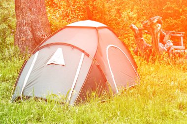 Ormandaki çadır kampı. Yerel seyahat konsepti. Sürdürülebilir yaşam tarzı. Yaz