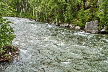 Tatil manzarası. Rus Altai dağları. Çoklu bölge. Tatil evde.
