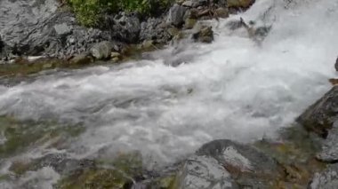 Tatil manzarası. Rus Altai dağları. Çoklu bölge. Tatil evde.